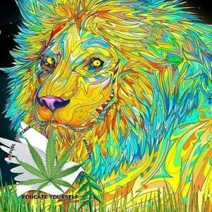 Meet your Posher, Toni